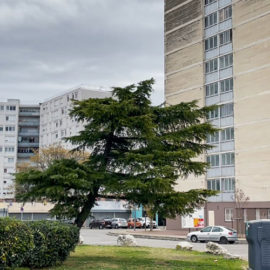 Quartier Barriol à Arles - décembre 2025